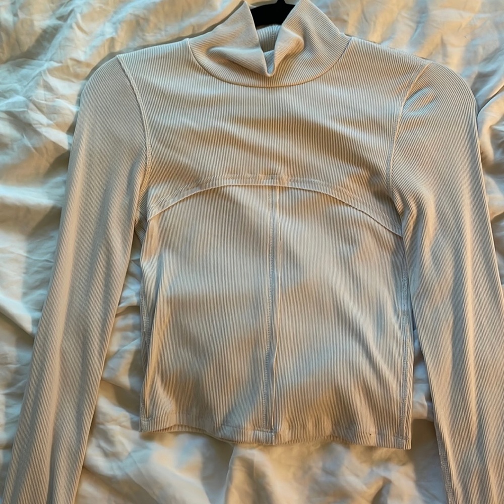 Aritzia Wilfred Moon Turkeneck
